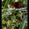 20130715_111